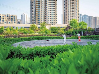 暮春三月公園綠 戶外健身享樂趣